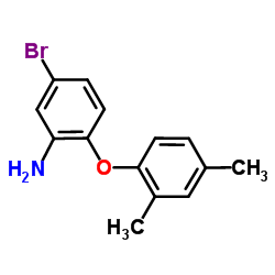 5-Bromo-2-(2,4-dimethylphenoxy)aniline Structure