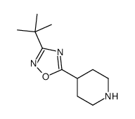 3-tert-butyl-5-piperidin-4-yl-1,2,4-oxadiazole Structure