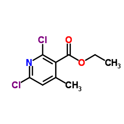 Ethyl 2,6-dichloro-4-methylnicotinate picture