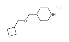 4-((CYCLOBUTYLMETHOXY)METHYL)PIPERIDINE HYDROCHLORIDE结构式