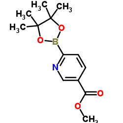 6-(4,4,5,5-四甲基-1,3,2-二噁硼烷-2-基)-3-吡啶羧酸甲酯图片