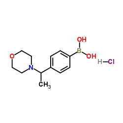 {4-[1-(4-Morpholinyl)ethyl]phenyl}boronic acid hydrochloride (1:1) structure