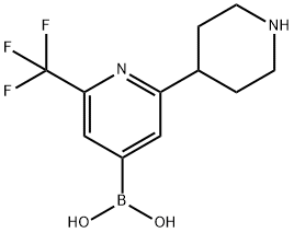 2-Trifluoromethyl-6-(piperidin-4-yl)pyridine-4-boronic acid图片