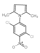 1-(2,4-DINITROPHENYL)-3-METHYL-PIPERAZINEHCL structure