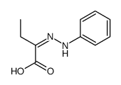2-(phenylhydrazinylidene)butanoic acid结构式