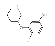 3-(2-Chloro-5-methylphenoxy)piperidine structure