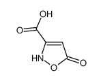 5-oxo-2H-1,2-oxazole-3-carboxylic acid Structure