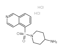 1-isoquinolin-5-ylsulfonylpiperidin-4-amine,dihydrochloride Structure
