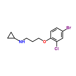 N-[3-(4-Bromo-2-chlorophenoxy)propyl]cyclopropanamine结构式