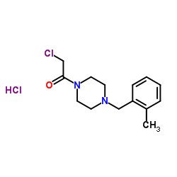 1-(chloroacetyl)-4-(2-methylbenzyl)piperazine hydrochloride structure