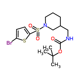 2-Methyl-2-propanyl ({1-[(5-bromo-2-thienyl)sulfonyl]-3-piperidinyl}methyl)carbamate structure