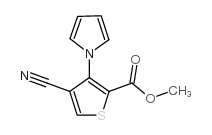 METHYL 4-CYANO-3-(1H-PYRROL-1-YL)THIOPHENE-2-CARBOXYLATE picture