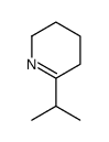 6-propan-2-yl-2,3,4,5-tetrahydropyridine Structure
