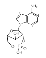 9H-Purin-6-amine,9-(2,5-O-phosphinico-b-D-arabinofuranosyl)-(9CI)结构式