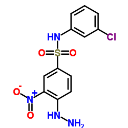 N-(3-CHLORO-PHENYL)-4-HYDRAZINO-3-NITRO-BENZENESULFONAMIDE图片