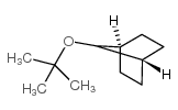 7-[(2-methylpropan-2-yl)oxy]bicyclo[2.2.1]heptane Structure