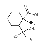 1-amino-2-tert-butylcyclohexane-1-carboxylic acid Structure