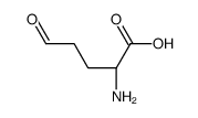 2-amino-5-oxo-pentanoic acid structure