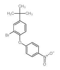 Benzene,2-bromo-4-(1,1-dimethylethyl)-1-(4-nitrophenoxy)- structure