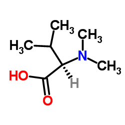 (R)-2-(dimethylamino)-3-Methylbutanoic acid Structure