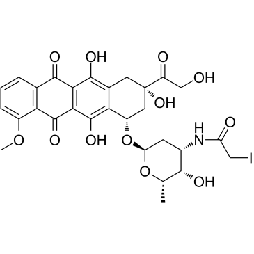 N-(Iodoacetamido)-Doxorubicin图片