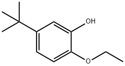 5-tert-butyl-2-ethoxyphenol structure