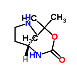 (R)-tert-Butyl pyrrolidin-3-ylcarbamate picture
