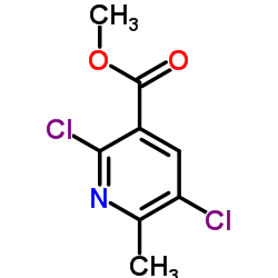 Methyl 2,5-dichloro-6-methylnicotinate Structure