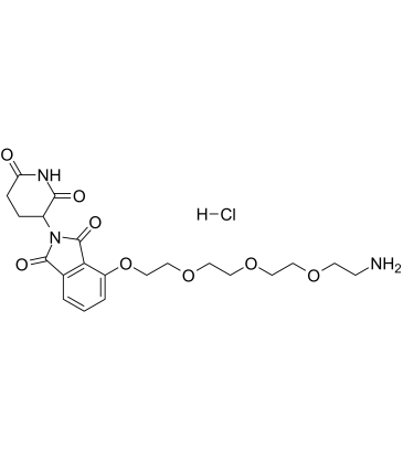 Thalidomide-PEG4-NH2 hydrochloride图片