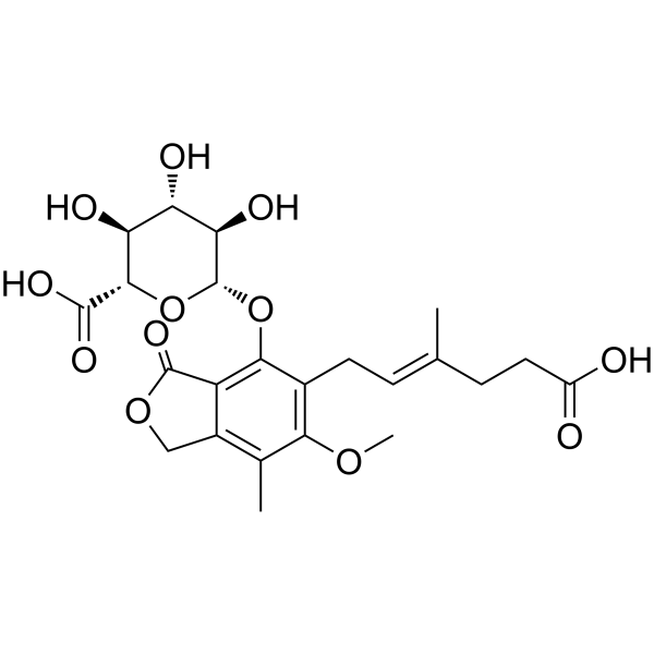 Mycophenolic Acid β-D-Glucuronide picture