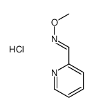 (E)-N-methoxy-1-pyridin-2-ylmethanimine,hydrochloride Structure