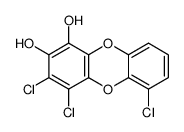 3,4,6-trichlorodibenzo-p-dioxin-1,2-diol Structure