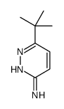 6-叔丁基吡嗪-3-胺结构式