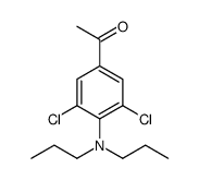 1-[3,5-dichloro-4-(dipropylamino)phenyl]ethanone结构式