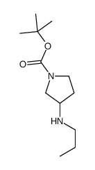 3-PROPYLAMINO-PYRROLIDINE-1-CARBOXYLIC ACID TERT-BUTYL ESTER picture