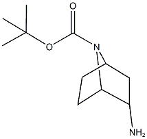 (1R,2R,4S)-叔-2-氨基-7-氮杂双环[2.2.1]庚烷-7-羧酸叔丁酯图片