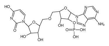 uridylyl-(2'-5')-adenosine structure