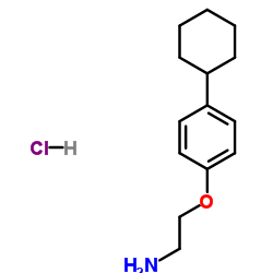 1048664-03-4 structure