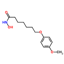 N-Hydroxy-7-(4-methoxyphenoxy)heptanamide Structure