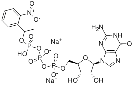 CAGED GTP Structure