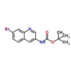 tert-butyl (7-bromoquinolin-3-yl)carbamate Structure