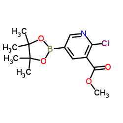 2-氯-5-(4,4,5,5-四甲基-1,3,2-二氧杂环戊硼烷-2-基)烟酸甲酯图片