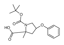 (2R,4R)-4-PHENOXY-1,2-PYRROLIDINEDICARBOXYLIC ACID1-(1,1-DIMETHYLETHYL)-2-METHYL ESTER picture