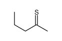 pentane-2-thione Structure