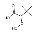 2-t-butyl-2-hydroperoxyacetic acid Structure
