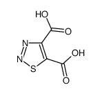 thiadiazole-4,5-dicarboxylic acid Structure