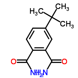 4-tert-butylbenzene-1,2-dicarboxamide图片
