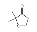 2,2-dimethylthiolan-3-one结构式