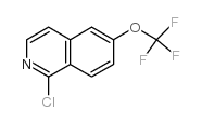 1-Chloro-6-(trifluoromethoxy)isoquinoline structure