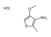4-methoxy-2-methylthiophen-3-amine,hydrochloride Structure